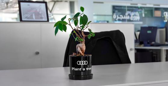 Driving sustainable change—one tree at a time